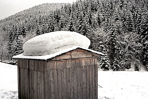 Grne partie doliny Rycerki. Beskid ywiecki