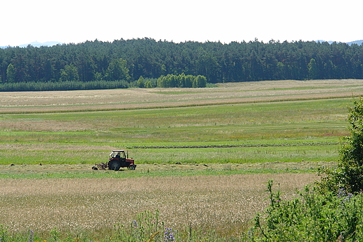 Pyrkoczcy landszafcik. Gniedziska