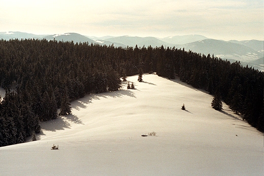 Hala Redykalna - widok w kierunku zachodnim. Na pierwszym planie od lewej Maa Rycerzowa, Mucu, Bendoszka Wielka i Wielka Racza. Beskid ywiecki