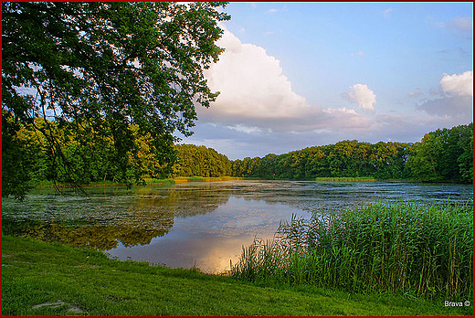 Rezydencja pruskiego rodu Tiele-Wincklerw w Mosznej - poowa XVIIw - stawy parkowe