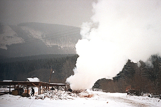 Rajcza - prowizoryczny tartak na obrzeach miejscowoci. Beskid ywiecki