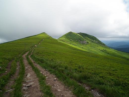 Poonina Tarnicy. Bieszczady