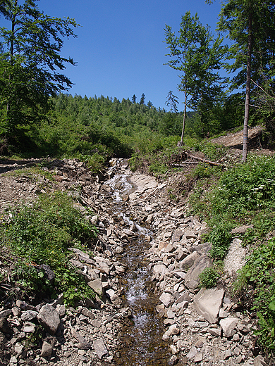 Potok grski.