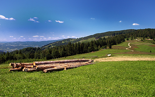 Na Hali Boraczej.