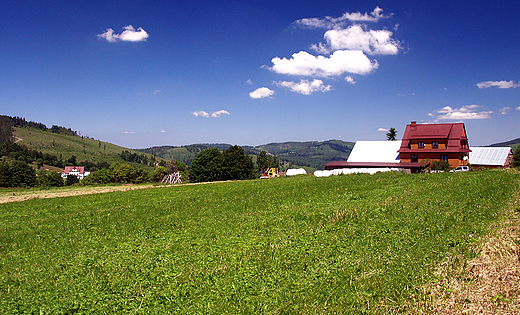 Fragment Hali Boraczej.