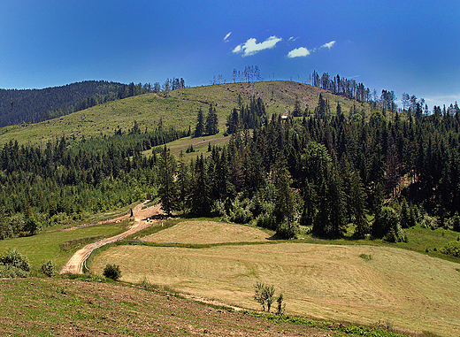 Beskid ywiecki-droga prowadzca do osiedla Milwki.