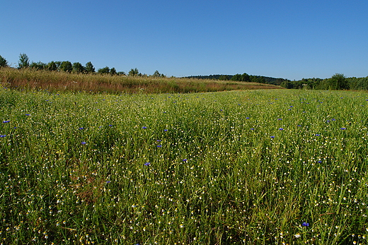 Pastwiska Radliskie