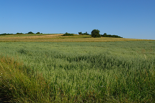 Radliski krajobraz