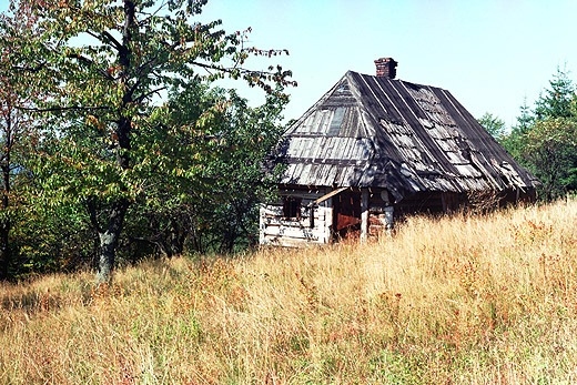 Opuszczony szaas na stokach Jaworzyny (1047 n.p.m.) gdzie pomidzy Babi Gr a Pilskiem. Beskid ywiecki