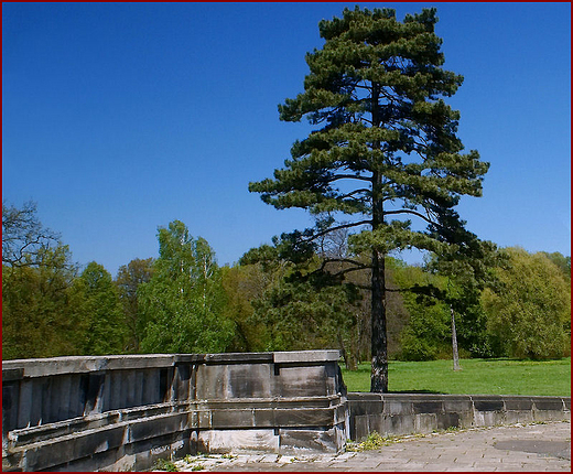 Zesp paacowo parkowy w  wierklacu - fragment parku