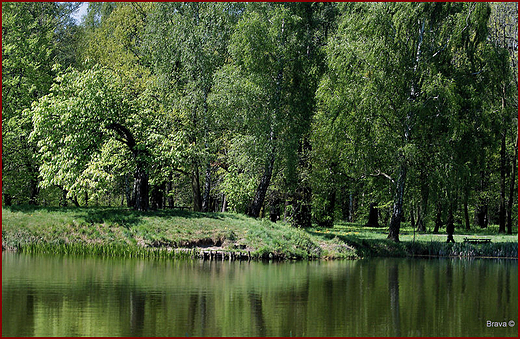 Zesp paacowo parkowy w  wierklacu - fragment parku