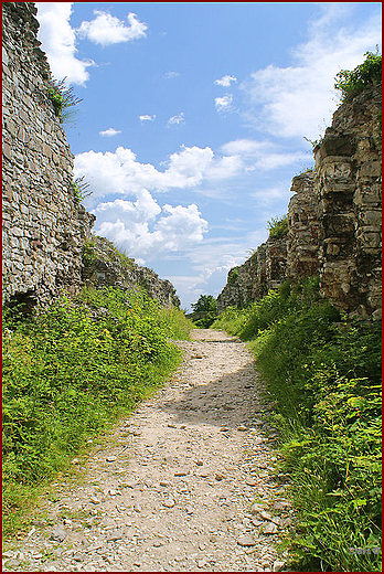 Ruiny zamku Tenczyn