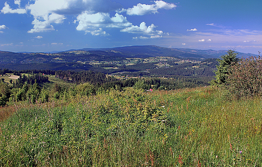 Widok na pasmo Baraniej Gry w Beskidzie lskim spod Rachowca.