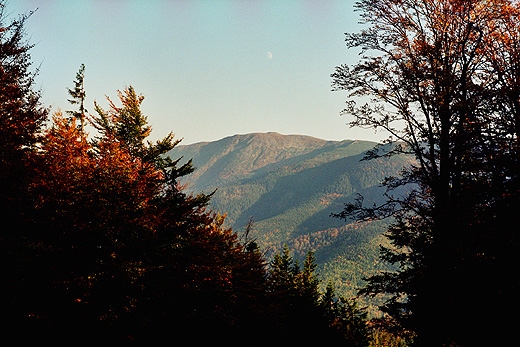 Babia Gra (1725 n.p.m.) ogldana ze stokw Mdralowej (1169 n.p.m.). Beskid ywiecki