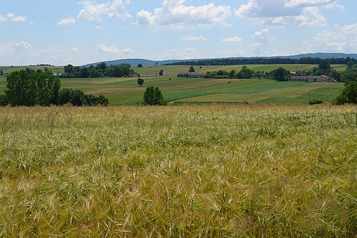 Wojciechowicki krajobraz.