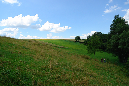 ki w Wojciechowicach.