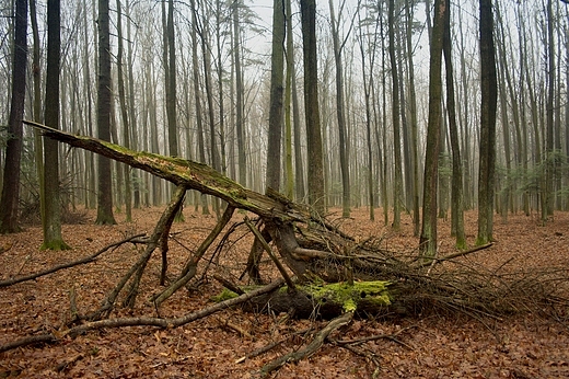 Rezerwat Jastkowice