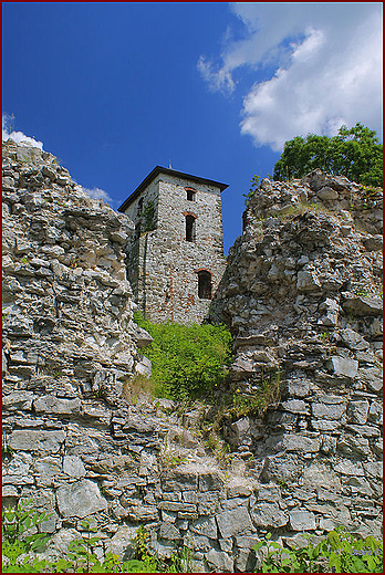 Ruiny zamku Tenczyn