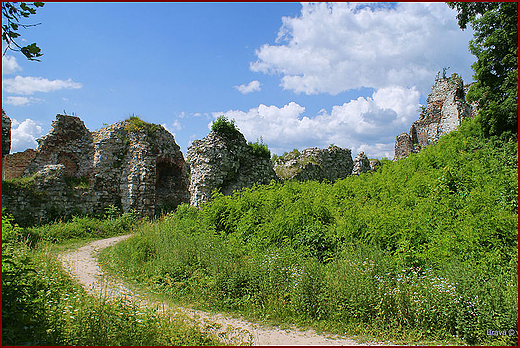 Ruiny zamku Tenczyn