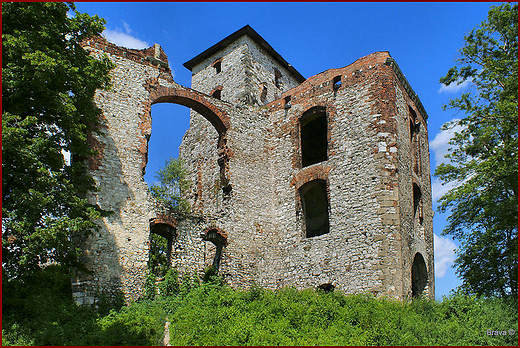 Ruiny zamku Tenczyn