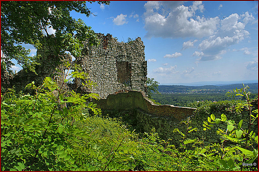 Ruiny zamku Tenczyn