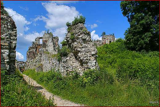 Ruiny zamku Tenczyn