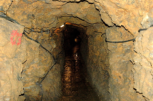 Tarnowskie Gry - w zabytkowej kopalni srebra