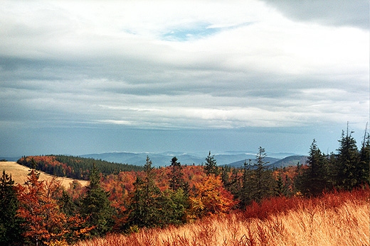 Widok z Mdralowej. Beskid ywiecki