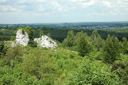 Jura Cztochowska  - ostace