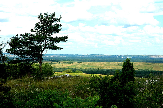 Jura Czstochowska - panorama jurajska