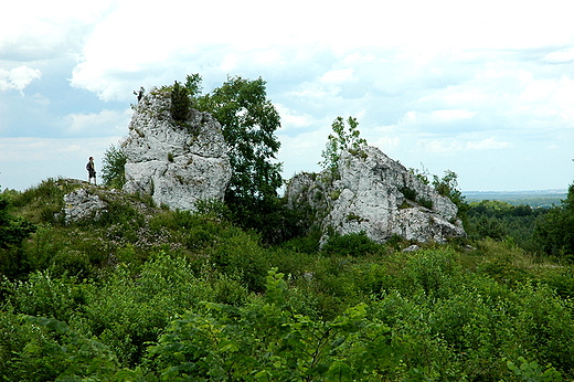 Jura Czstochowska - biae skaki