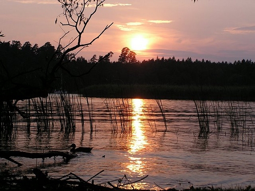 Mazury