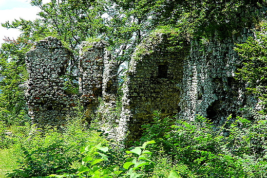 Smoleń - zamek gotycki