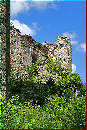 Ruiny zamku Tenczyn