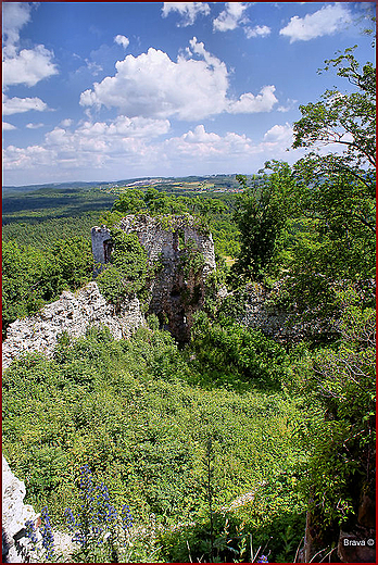 Ruiny zamku Tenczyn