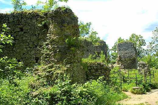 Smole - podzamcze zachodnie