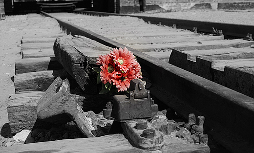 Tory kolejowe w Birkenau (Brzezinka)