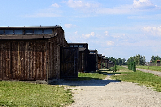 Baraki w Birkenau