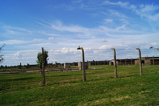 Brzezinka
