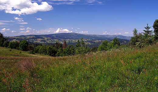 Panorama pasma Baraniej Gry ze stoku Rachowca.