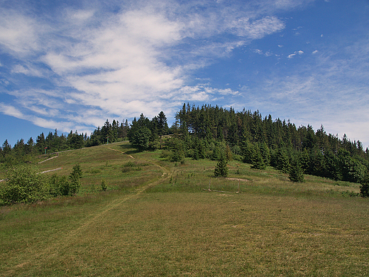 Rachowiec - 954m npm.