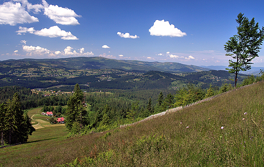 Panorama Beskidu Śląskiego ze stoku Rachowca.