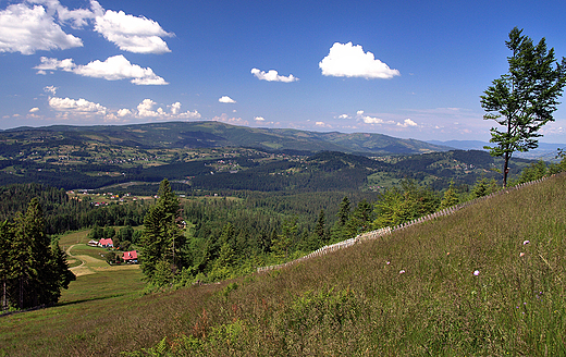 Panorama Beskidu lskiego ze stoku Rachowca.