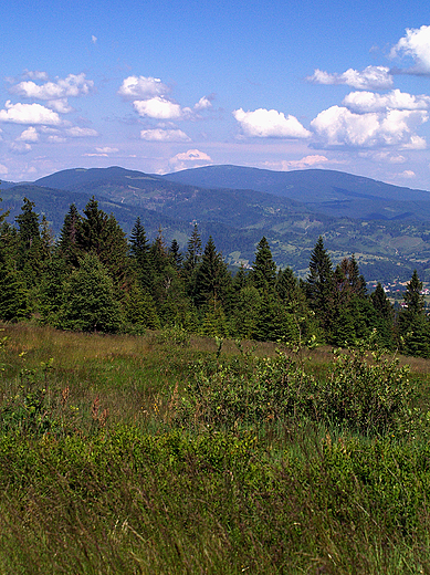 Beskid ywiecki. Widok z Rachowca.