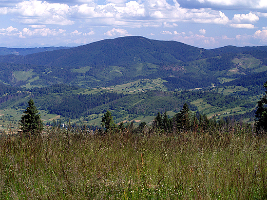 Panorama Beskidu ywieckiego z hali na Rachowcu.