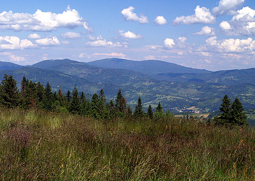 Poonina na Rachowcu, w tle Beskid ywiecki.