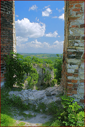 Ruiny zamku Tenczyn