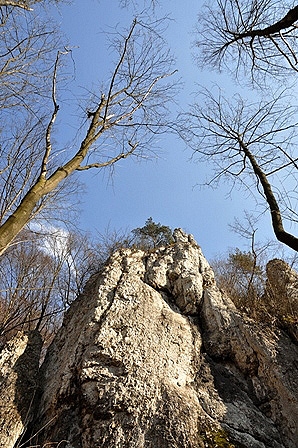 W niebo, Ojcowski Park Narodowy