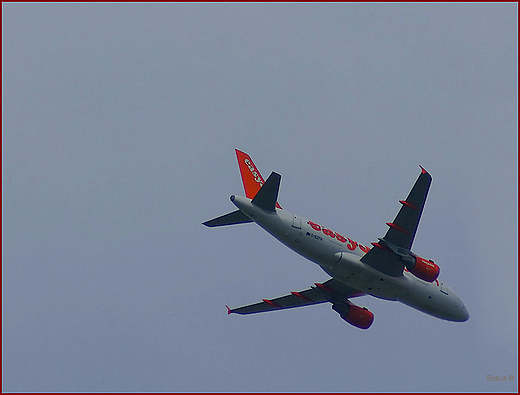 Airbus A319-111 na polskim niebie.