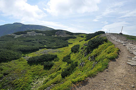 Babia Gra (1725 m n.p.m.) - widok z Kocikw